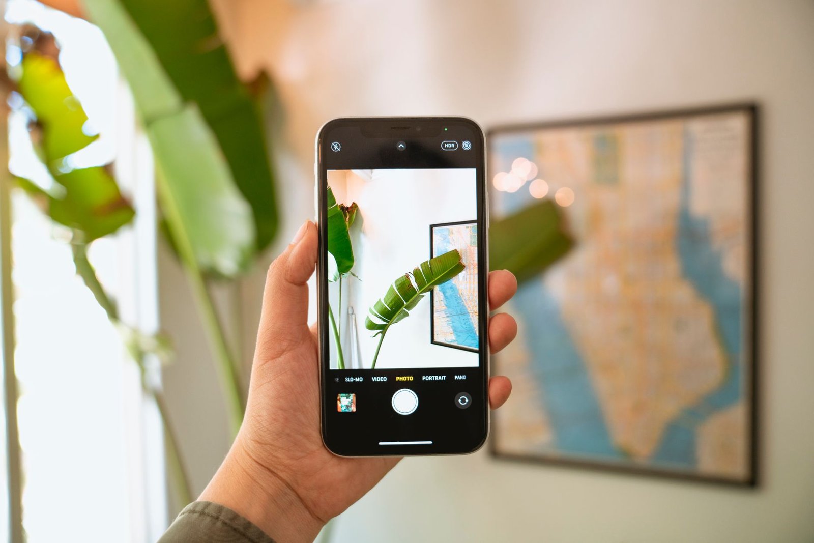 Rastreie e Bloqueie seu iPhone Perdido em 5 Passos Simples